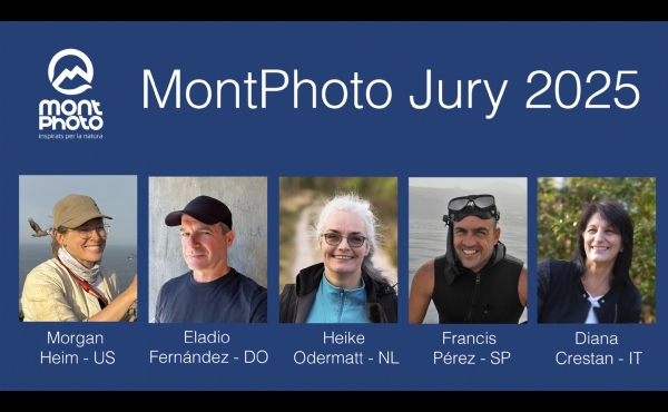 Announcing the panel of judges for MontPhoto 2025